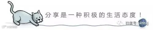 猫抓毛线球引导分享