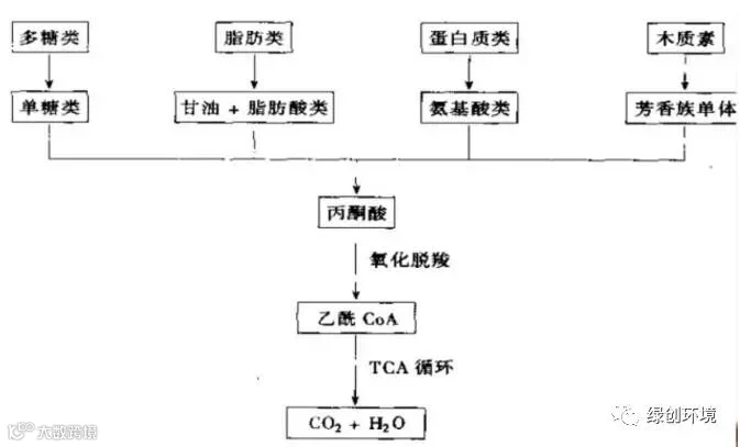 QQ截图20190808114620.jpg