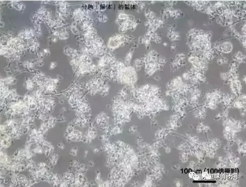 水处理知识