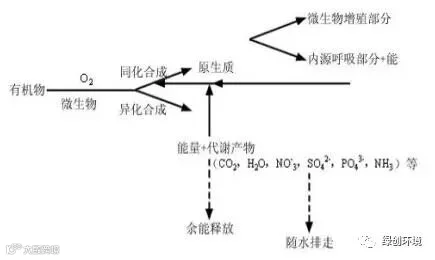 QQ截图20190808114608.jpg