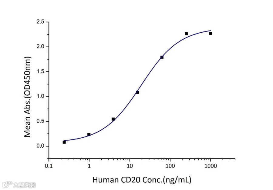 20230628-Eg0195-Human-CD20-3d(产品图).jpg