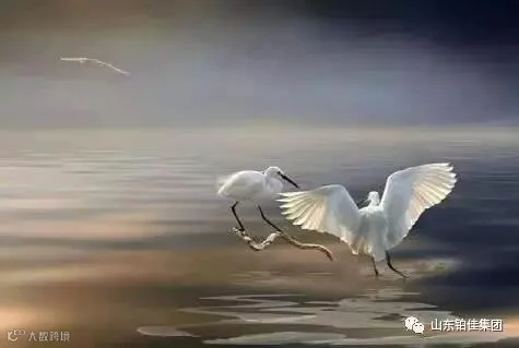 【荐读】十句话让你前途无量