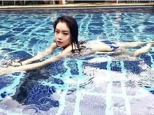 “菊家军”刷屏,今天你pick王菊了吗?