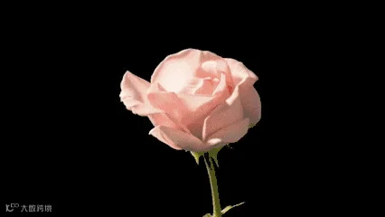 1489554131401739.gif