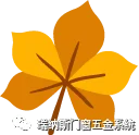 树叶分割线