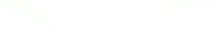 校园3.png