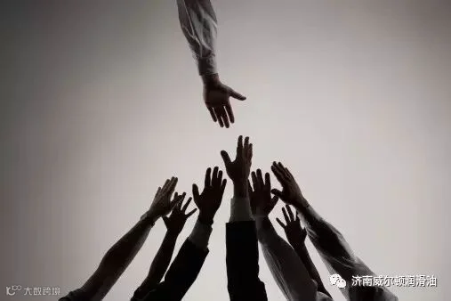 1490515815963125.jpg