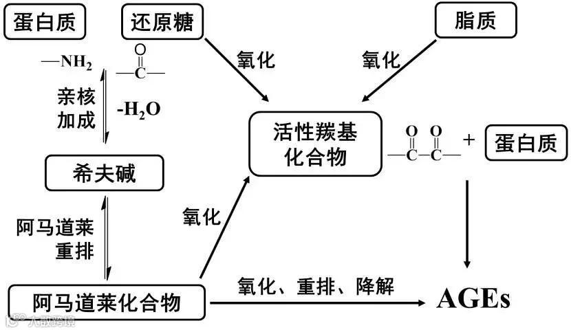 新指标1.jpg