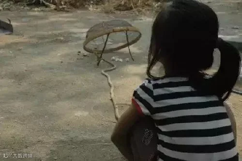 罩麻雀.jpg
