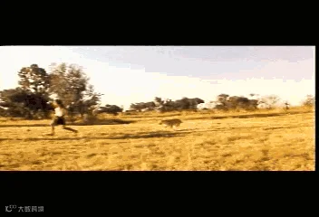 1490513039802348.gif