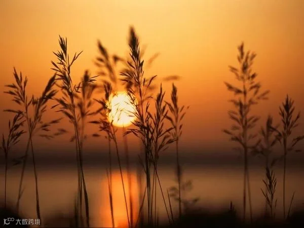 https://image.ipaiban.com/upload-ueditor-image-20180319-1521397120744028186.jpg