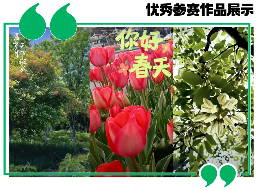 微信图片_202305051655403.png