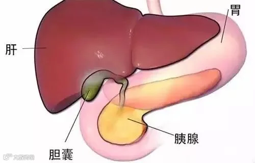 微信图片_20220209100510.jpg