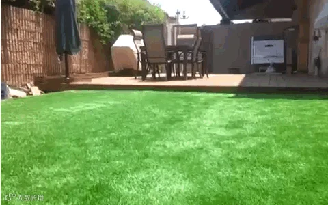 03.gif