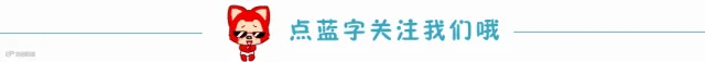 引导关注动图
