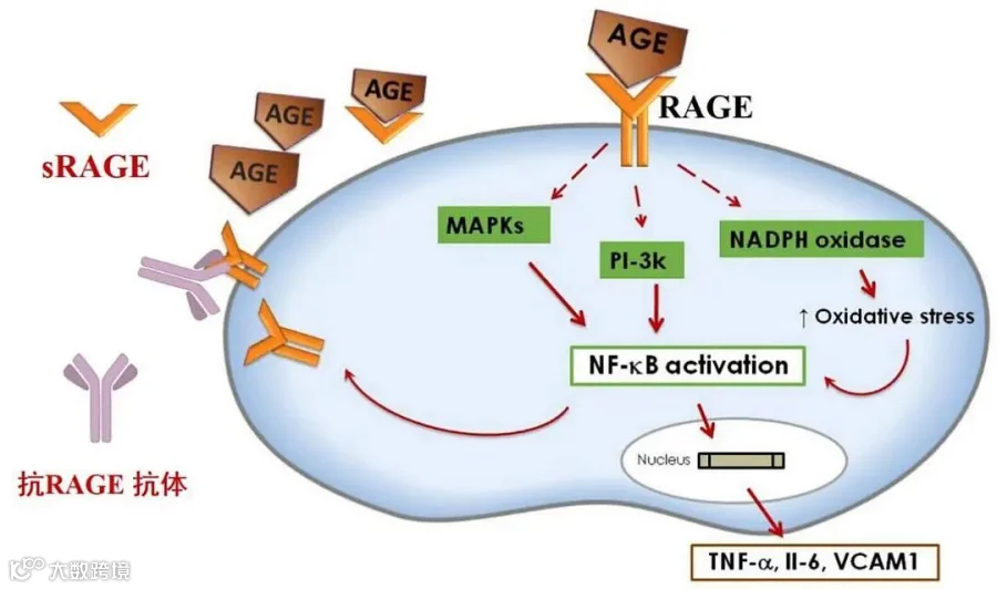 新指标1.jpg