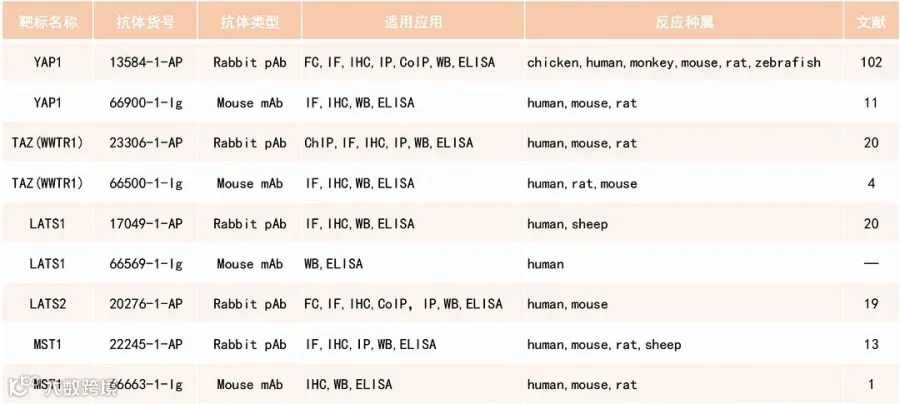 河马通路列表.jpg