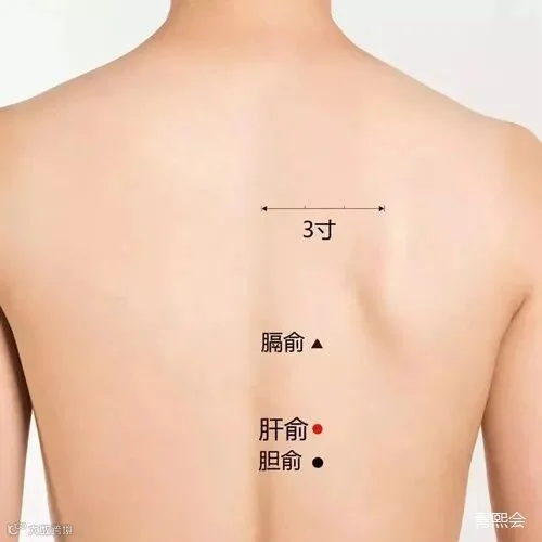 微信图片_20220209100529.jpg
