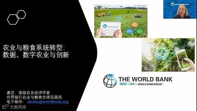 高级农业经济学家、世界银行农业与粮食全球实践局桑茁作分享 受访者供图