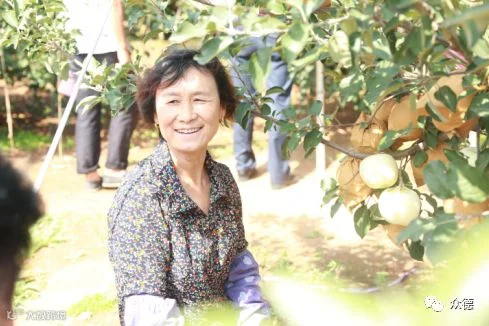 QQ截图20180914180137.png