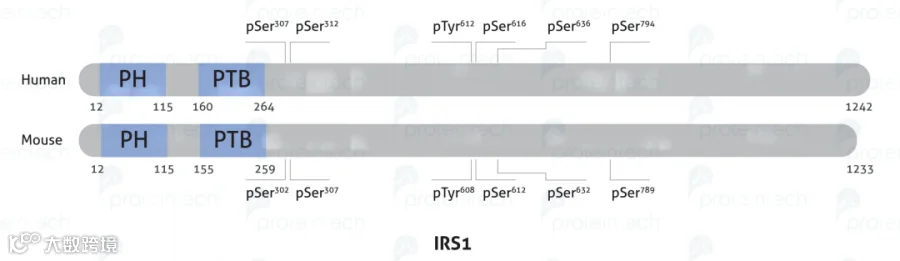 图3(1)(1).png