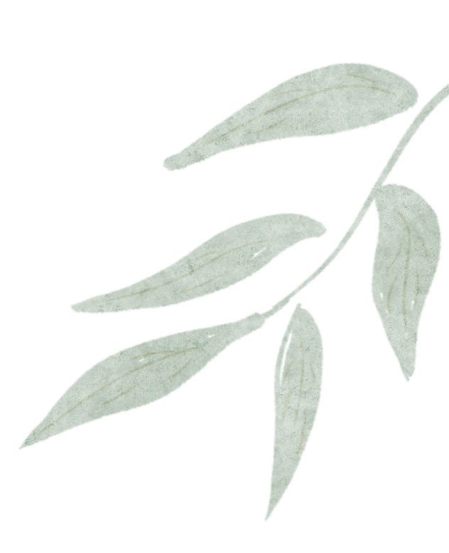 桃花分割线