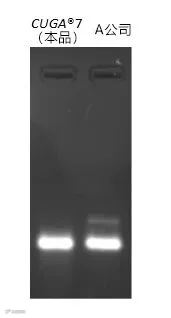 1615317227925424.jpg
