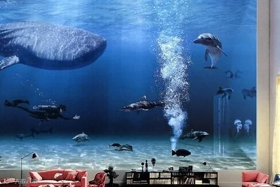 比尔盖茨家的水族馆!