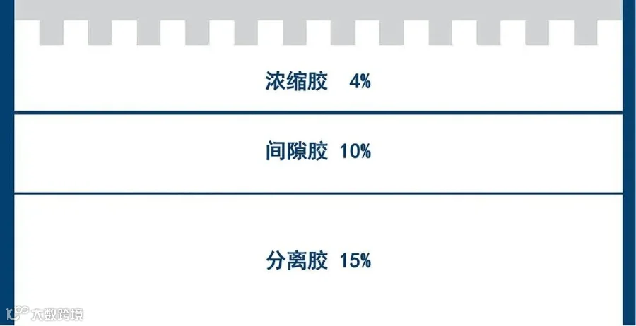 三层胶-2.jpg