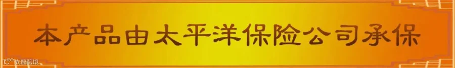 保险.jpg