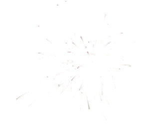 timg.gif