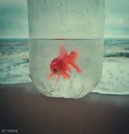 点击浏览下一张