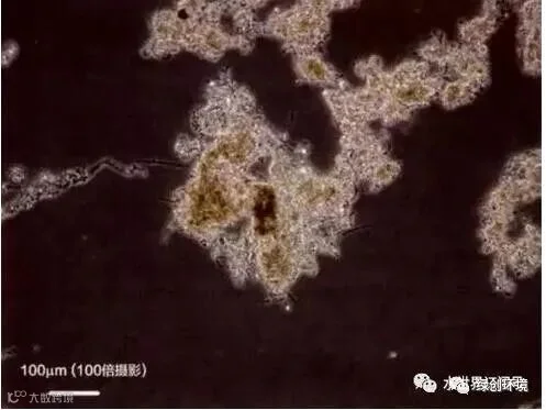 水处理知识