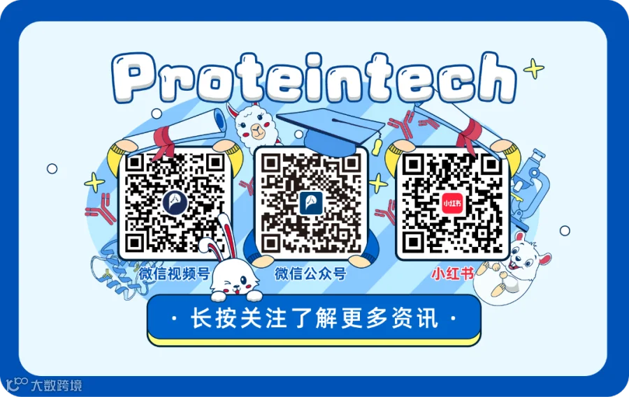 公众号视觉设计-02 (1).png