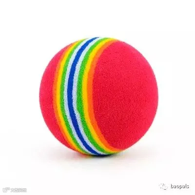 rainbow pet toy