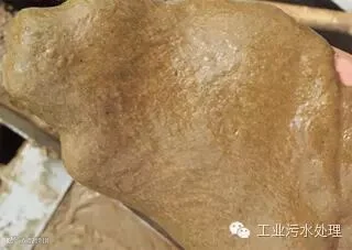 1449672893739011388.jpg