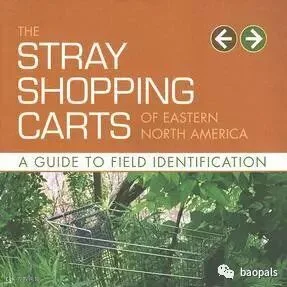 stray shopping carts