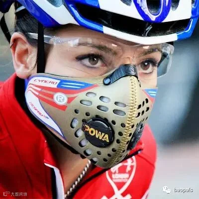 respro pollution mask