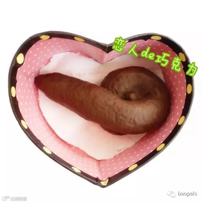valentine’s day poop gag gift