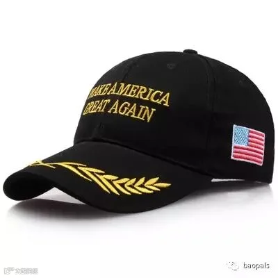 Make America Great Again Hat