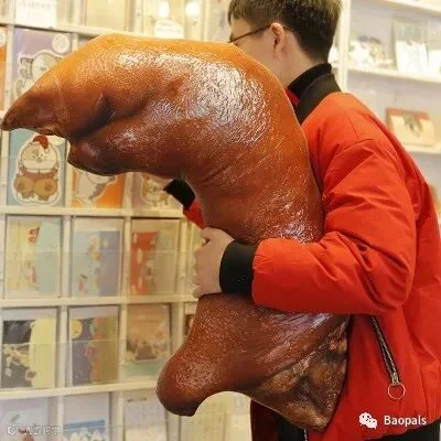 Pig Foot Pillow
