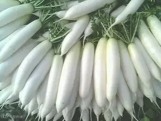 60640_569344.jpg