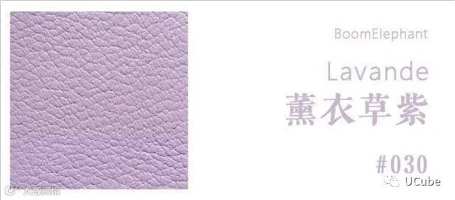 紫色1.jpg