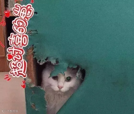 微信图片_20190117115534_副本.jpg