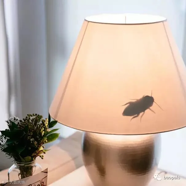 insect lampshade