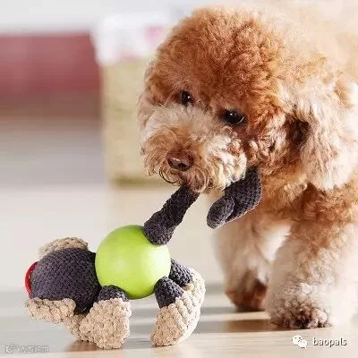 stuffed chew toys