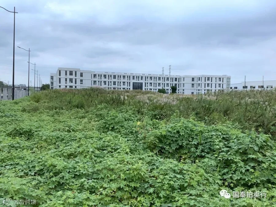 小米6-0419.053.gif