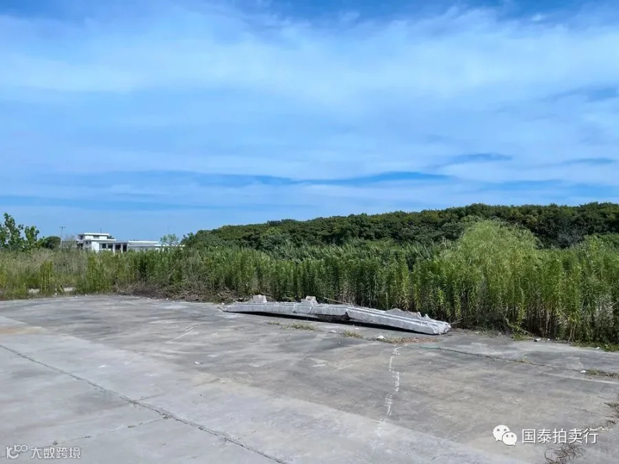 小米6-0419.057.gif