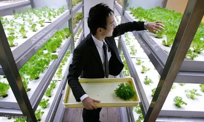 m_53c1c5dc7c201.jpg
