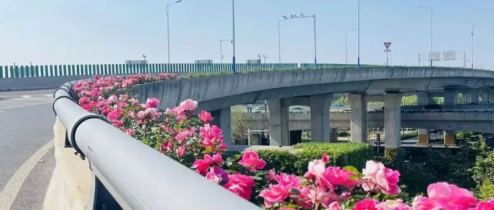 让高架“开花”，为城市添彩|沪望立体绿化系统为南通通州机场高架助力！
